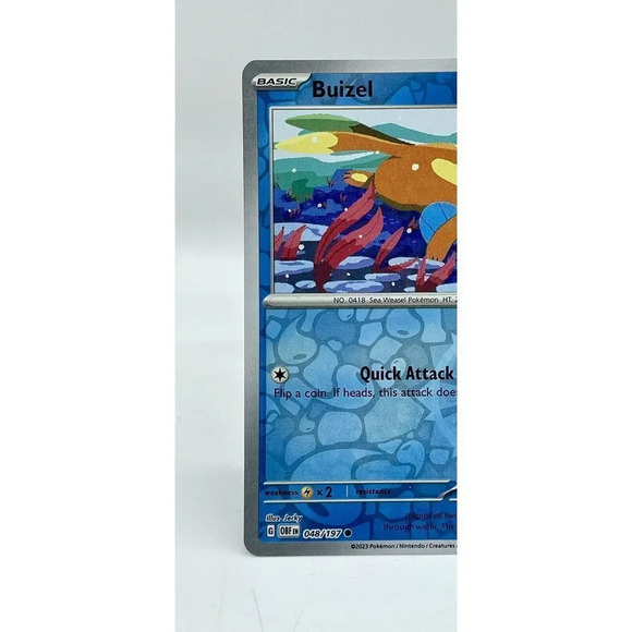 Buizel 048/197 Sv03: Obsidian Flames Pokemon TCG Reverse Holo Mint Unplayed - Picture 3 of 7
